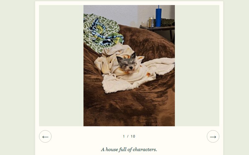 alannahschoonover.com: 'Every creature counts,' with a little dog wrapped in a blanket